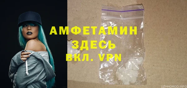 твердый Богданович