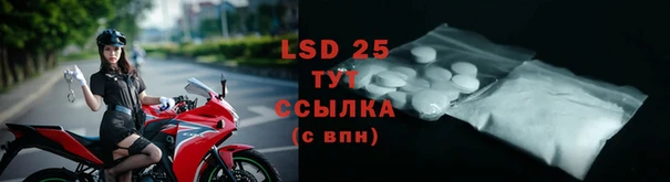 твердый Богданович