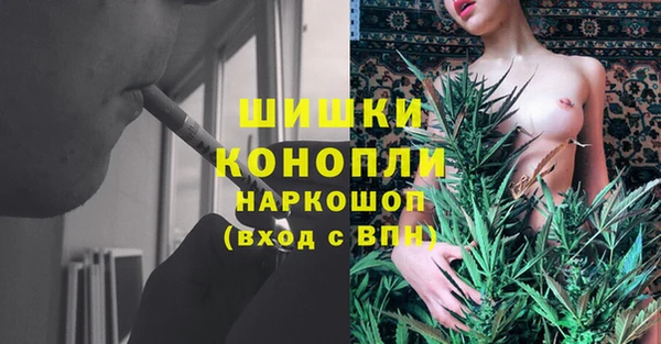 дживик Верея