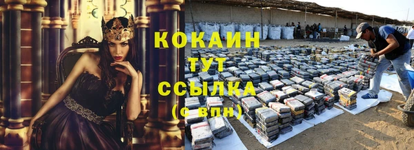 твердый Богданович