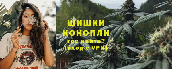 дживик Верея