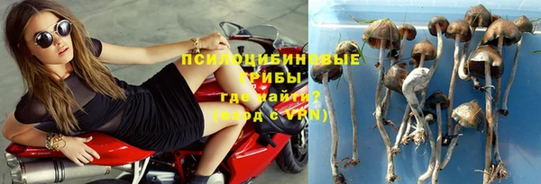a pvp Богородицк