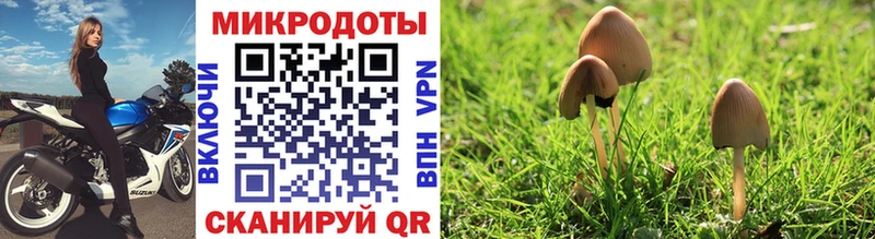 гидра как войти Гороховец Галлюциногенные грибы мицелий