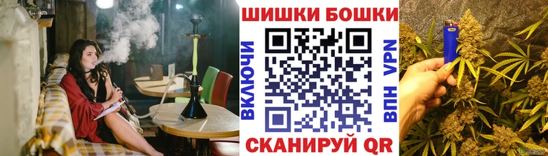 купить   Гороховец  Канабис ГИДРОПОН 